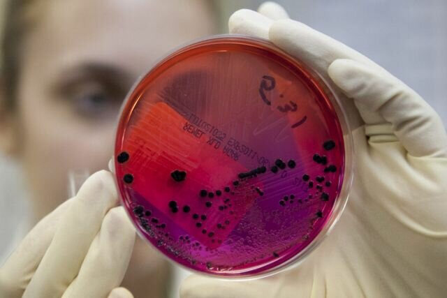 ugroza-chelovechestvu-2020-kitajcy-rasprostranjajut-virus-po-planete-koronavirus-opasen-1-6295422