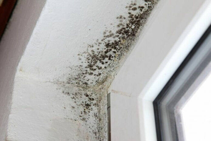 komfort-s-jekonomiej-ili-zdorove-i-bezopasnost-ot-plastikovyh-okon-nachinajut-massovo-otkazyvatsja-vo-vsem-mire-2-6582450