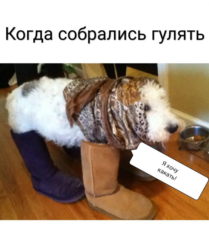 materinstvo-jeto-veselo-zabavnye-momenty-v-kartinkah-s-zhivotnymi-2-1692705