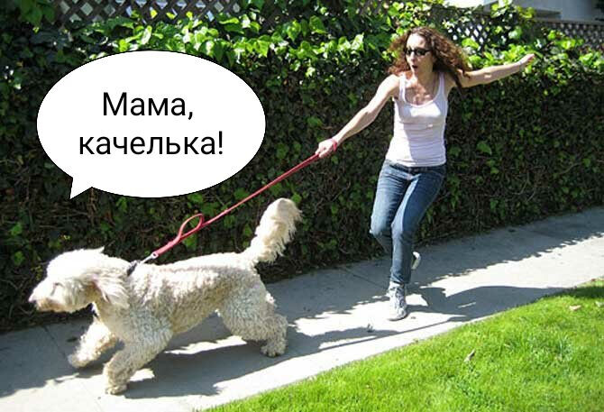 materinstvo-jeto-veselo-zabavnye-momenty-v-kartinkah-s-zhivotnymi-6-6537000